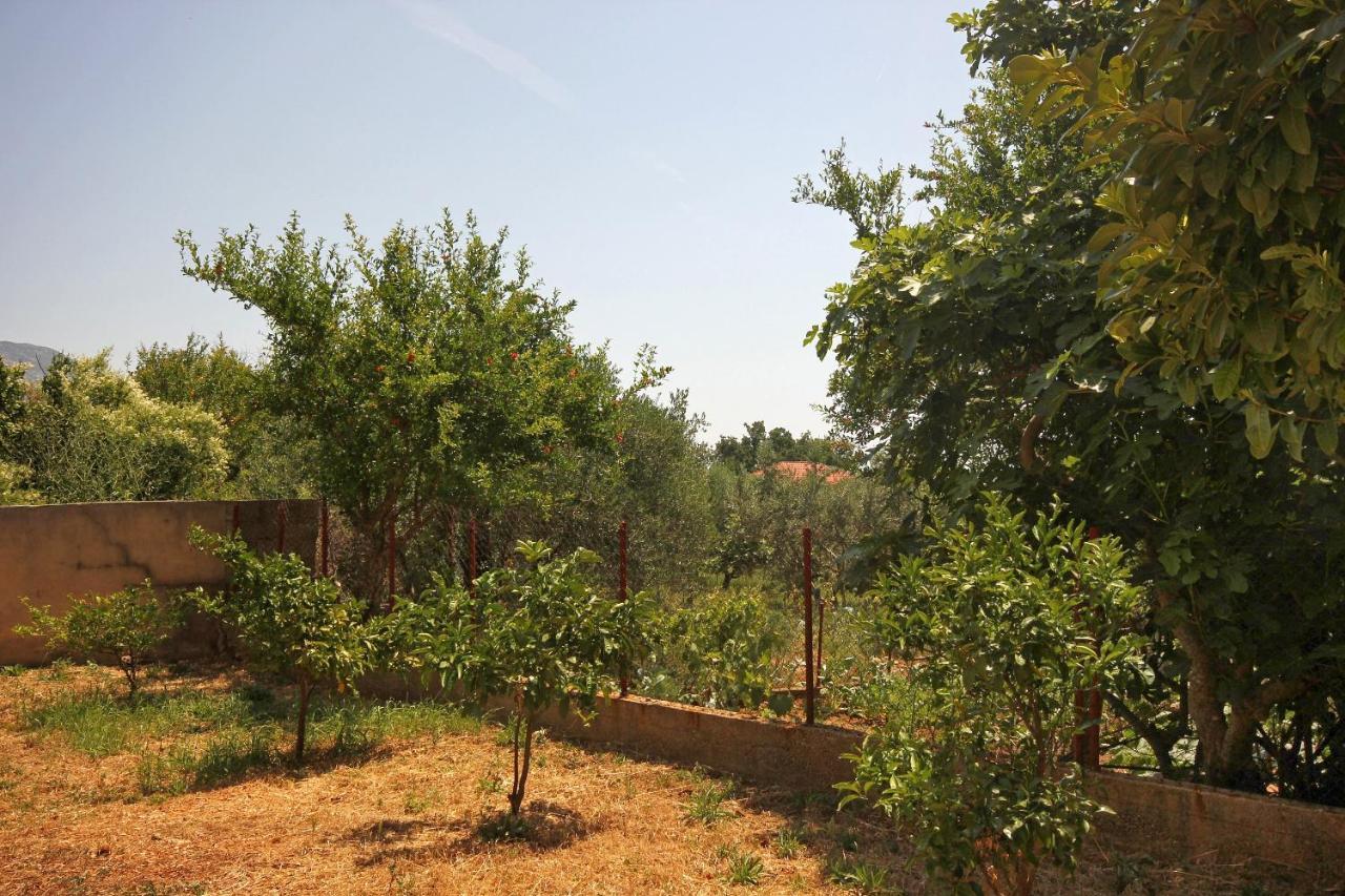Apartments And Rooms With Parking Space Orebic, Peljesac - 10191 Luaran gambar